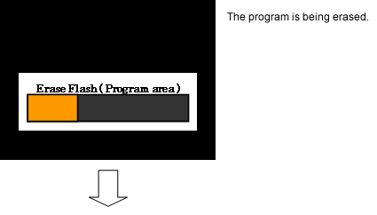 The program is being erased.