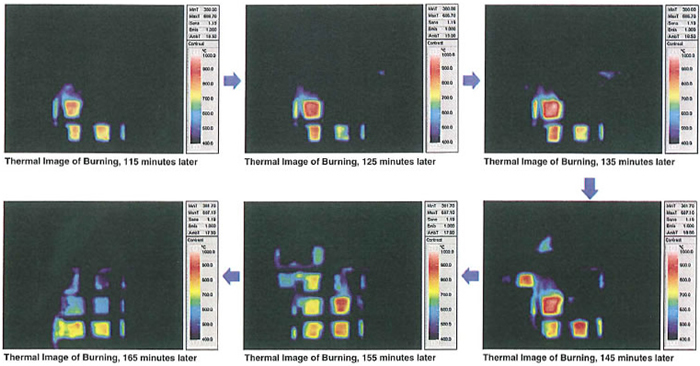 Thermal Image of Burning