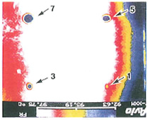 Thermal image 01 Test Piece (by TVS-210)